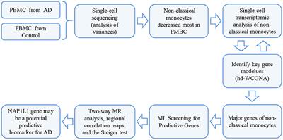 Integration of single-cell sequencing with machine learning and Mendelian randomization analysis identifies the NAP1L1 gene as a predictive biomarker for Alzheimer's disease